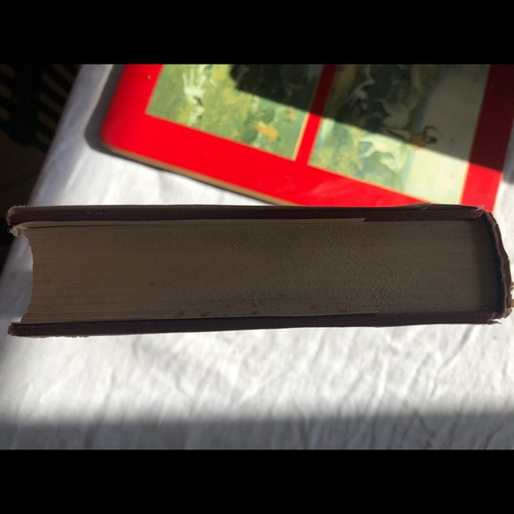 1956 The Fertile Plane E Salaman book - Picture 10 of 10